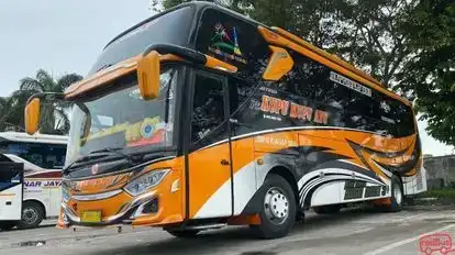 Kupu Kupu Ayu Bus-Front Image