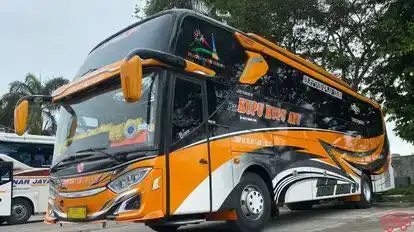 Kupu Kupu Ayu Bus-Side Image