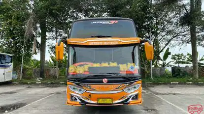Kupu Kupu Ayu Bus-Front Image