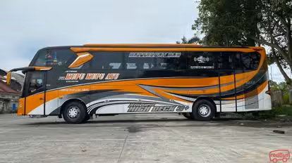 Kupu Kupu Ayu Bus-Side Image