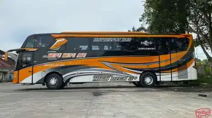 Kupu Kupu Ayu Bus-Side Image