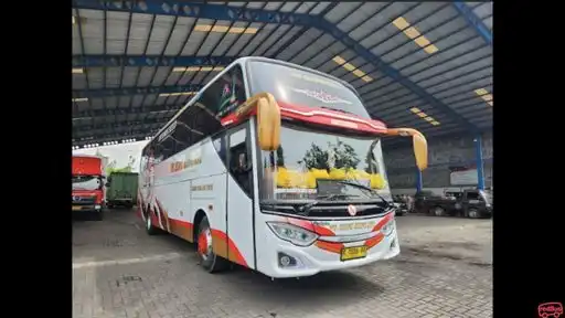 Kupu Kupu Ayu Bus-Front Image