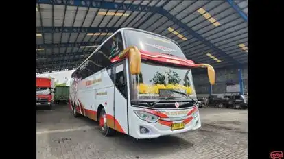 Kupu Kupu Ayu Bus-Front Image