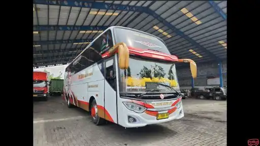 Kupu Kupu Ayu Bus-Front Image
