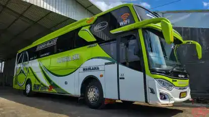 Kalingga Jaya Bus-Side Image