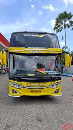 Mayora Trans Bus-Front Image