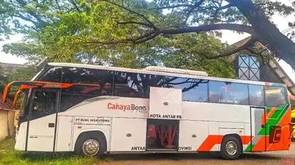 Cahaya Bone Bus-Side Image