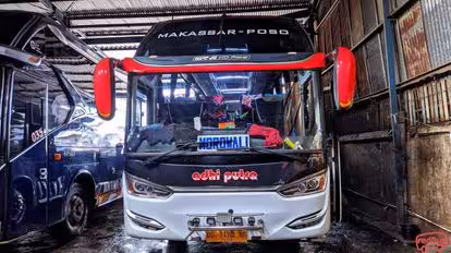 Adhi Putra Bus-Front Image