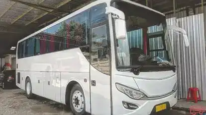 MyTrans  Bus-Front Image