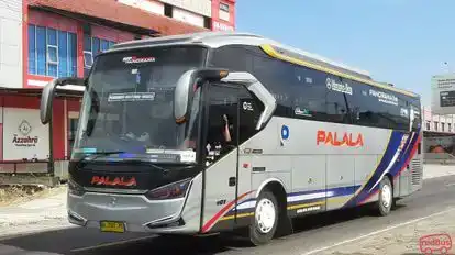 Palala Bus-Front Image