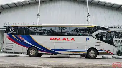 Palala Bus-Side Image