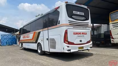 GM Royal Bus-Side Image