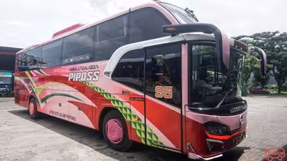 Piposs Bus-Side Image