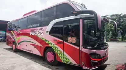 Piposs Bus-Side Image