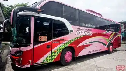 Piposs Bus-Side Image