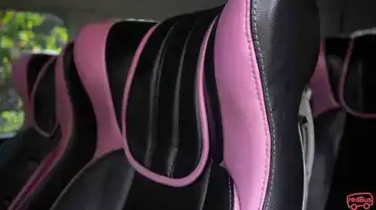Pasteur Trans Bus-Seats Image