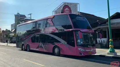 Kencana Bus-Front Image