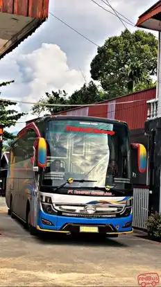 Transport Express Jaya Bus-Front Image