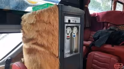 KG Trans Bus-Amenities Image