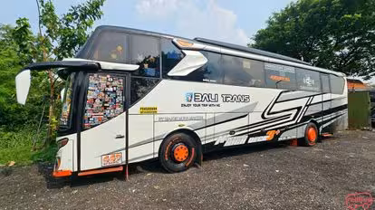 Bali Trans Bus-Side Image