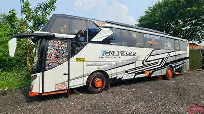 Bali Trans Bus-Side Image