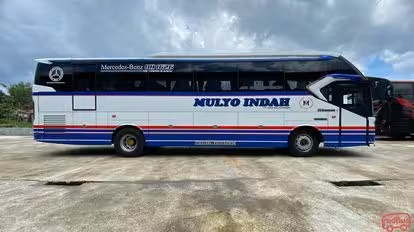 Mulyo Indah Bus-Front Image