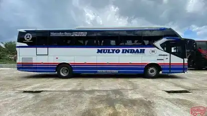 Mulyo Indah Bus-Front Image