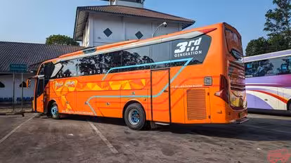 Muji Jaya PM Bus-Side Image