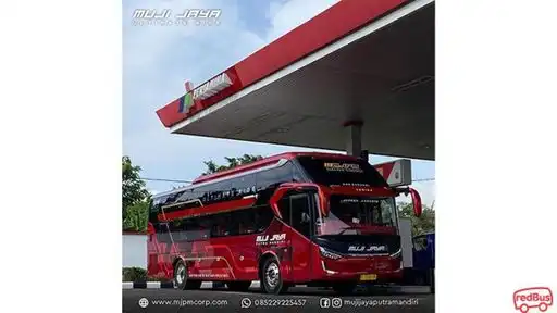 Muji Jaya PM Bus-Front Image