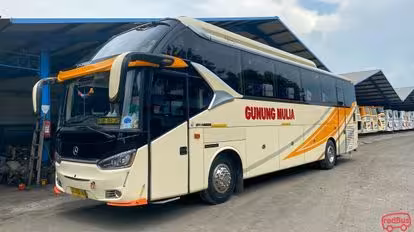 Gunung Mulia Bogor Bus-Front Image