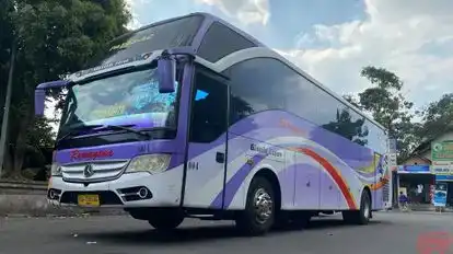 Ramayana Patas Bus-Front Image