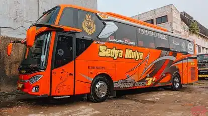 Sedya Mulya Solo Bus-Front Image