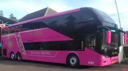 Sant Gold Bus-Side Image