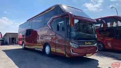 Sant Gold Bus-Side Image