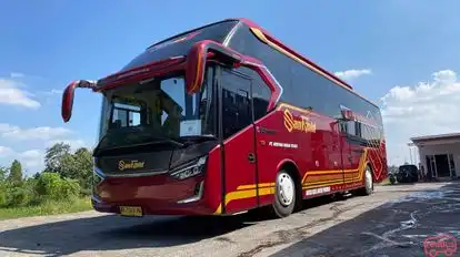 Sant Gold Bus-Side Image