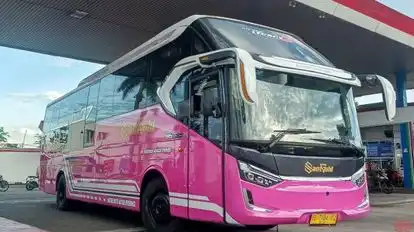 Sant Gold Bus-Front Image