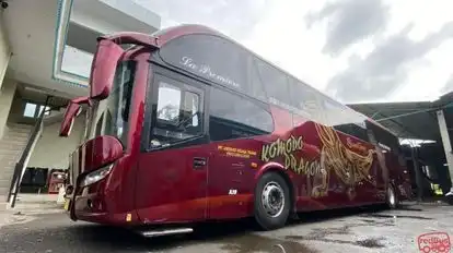 Sant Gold Bus-Side Image