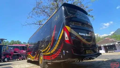 Agung Sejati Bus-Front Image