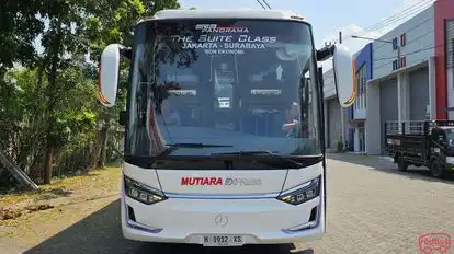 Mutiara Express Bus-Front Image