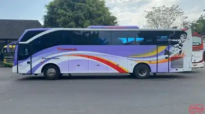 Ramayana Semarang Bus-Side Image