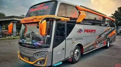 PEBEPE Bus-Front Image