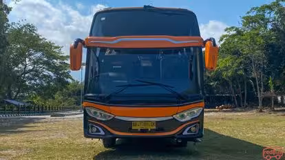 Brave Bus-Front Image