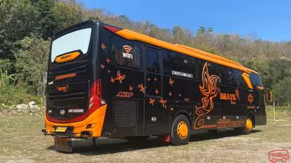 Brave Bus-Side Image