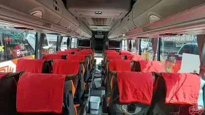 NPM Bus-Seats layout Image