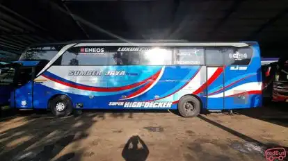 Sumber Jaya Trans Bus-Side Image