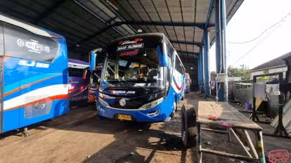 Sumber Jaya Trans Bus-Front Image