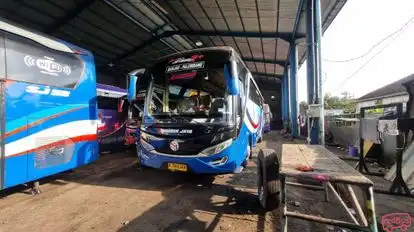 Sumber Jaya Trans Bus-Front Image