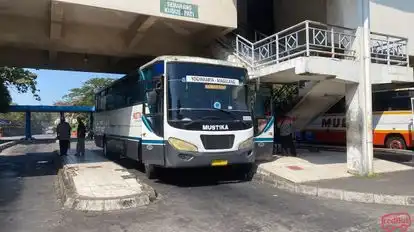 Bis Kota Jogja Magelang Bus-Seats layout Image