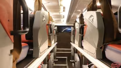 Borlindo Bus-Seats layout Image