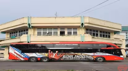 Borlindo Bus-Side Image